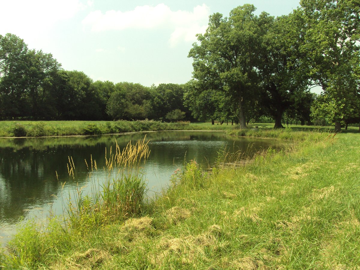 Property photo 15 - 160 Acres Offered in 6 Tracts